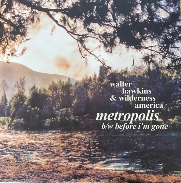 DVK701.jpg Walter Hawkins & Wilderness America - Metropolis - Image 1