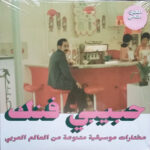 VARIOUS ARTISTS - HABIBI FUNK: AN ECLECTIC SELECTION (PART 2)