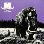 ACID MAMMOTH - Under Acid Hoof (Neon Orange Vinyl)