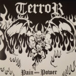 TERROR - PAIN INTO POWER