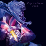 VARIOUS ARTISTS - POP AMBIENT 2020