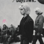 VARIOUS ARTISTS - BASEMENT BEEHIVE: THE GIRL GROUP UNDERGROUND