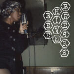 VARIOUS ARTISTS - BEEHIVE BREAKS