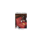 TERRY ALLEN - LUBBOCK (ON EVERYTHING)