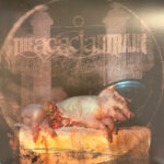 THE ACACIA STRAIN - THE DEAD WALK