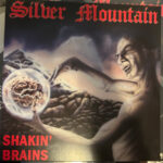 SILVER MOUNTAIN - Shakin Brains