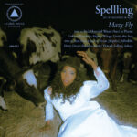 SPELLLING - MAZY FLY