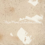 Virgin Prunes - A New Form of Beauty 1-4