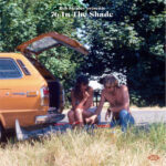VARIOUS ARTISTS - Bob Stanley Presents 76 In The Shade